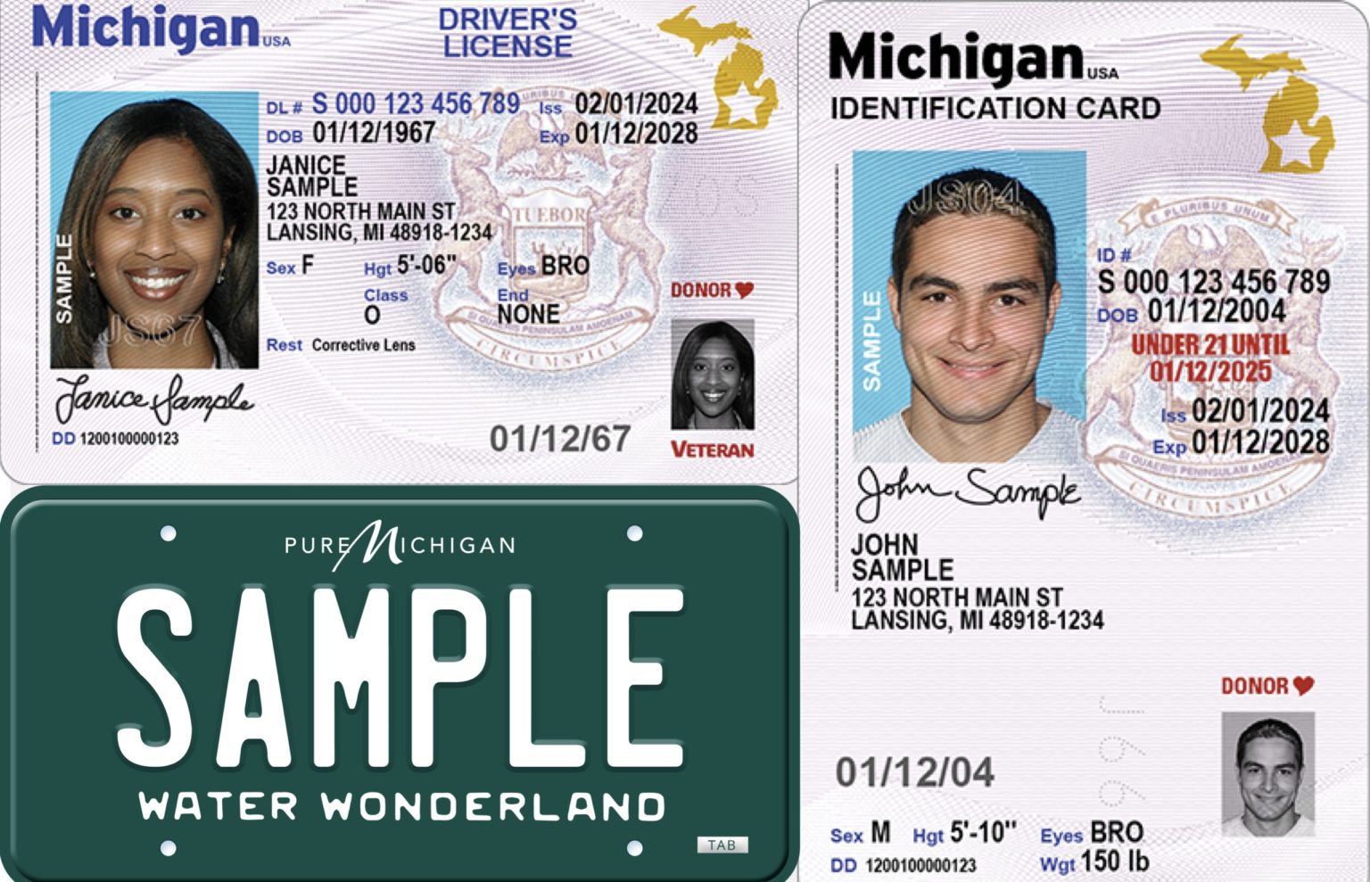 New Michigan driver’s license, plate design coming in 2024 – Metro ...